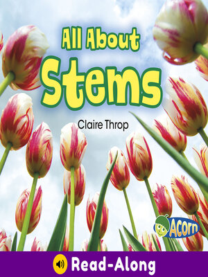 cover image of All About Stems